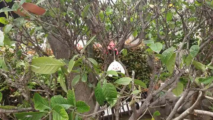 高木神社の自然