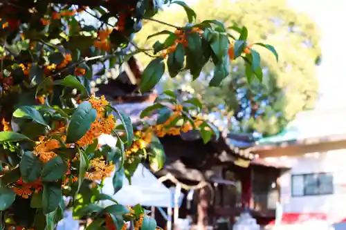 三津厳島神社(愛媛県)