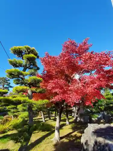 開成山大神宮(福島県)