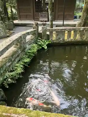 祓所神社(静岡県)