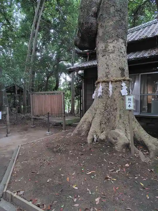 氷川女體神社(埼玉県)