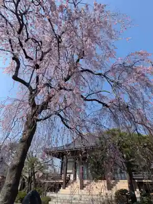 圓照寺(東京都)