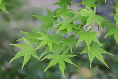 乙訓寺(京都府)