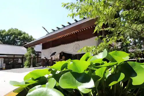 阿佐ヶ谷神明宮(東京都)