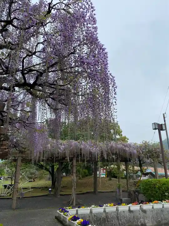 大山祇神社(愛媛県)