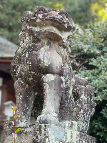 宇治上神社の狛犬