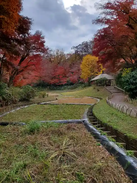 明治神宮の庭園