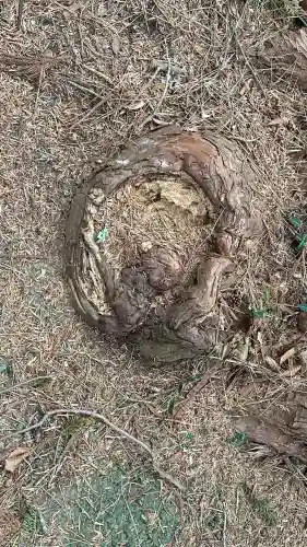 鼻節神社(宮城県)