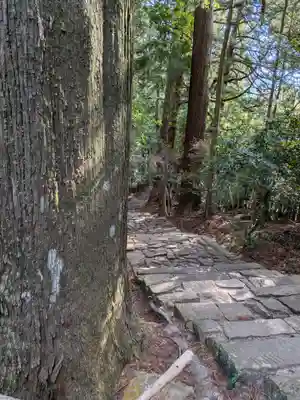 熊野那智大社(和歌山県)