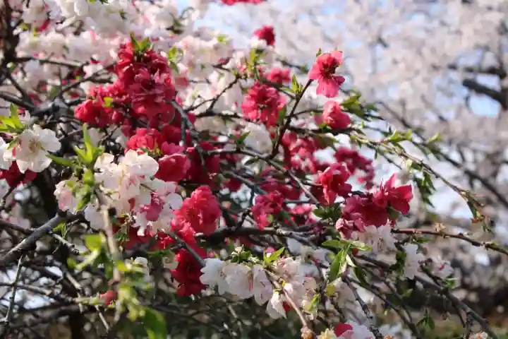 法華寺(奈良県)