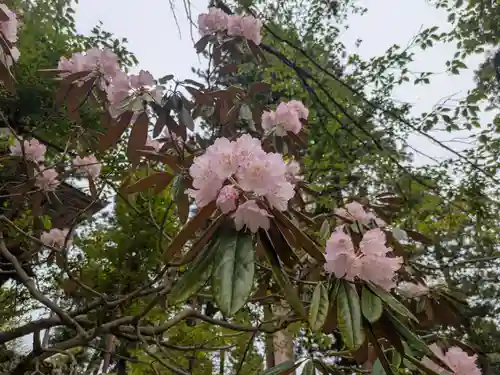 成相寺(京都府)