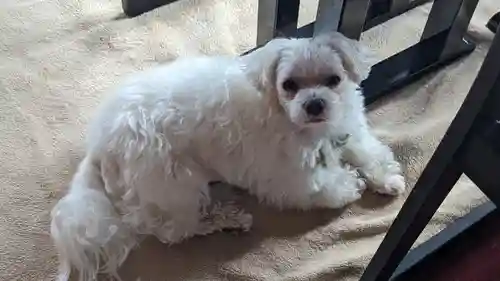 本昌寺(京都府)