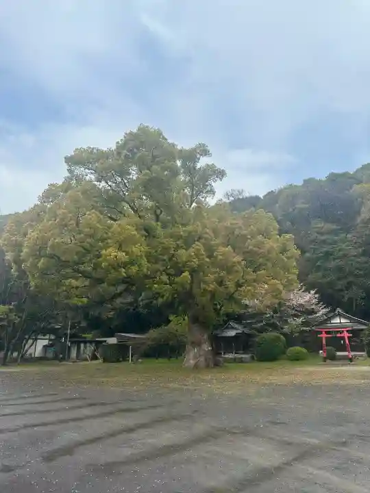 琴彈八幡宮(香川県)