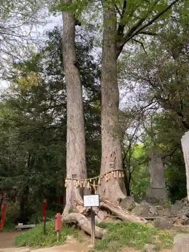 妻沼聖天山歓喜院(埼玉県)