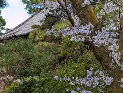 青蓮院門跡(京都府)