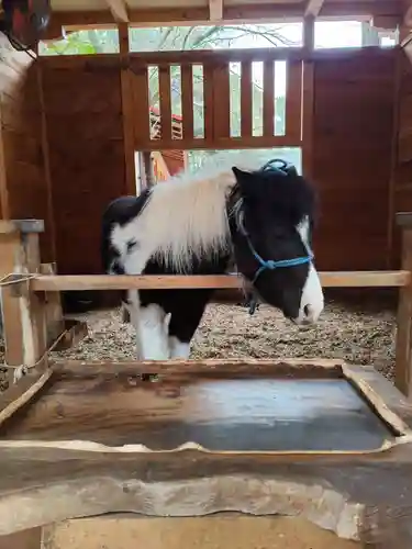 平塚八幡宮(神奈川県)