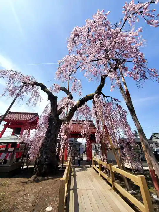 妙関寺(福島県)