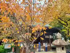 七社神社(東京都)