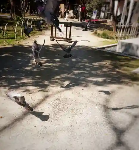 長楽寺のその他建物