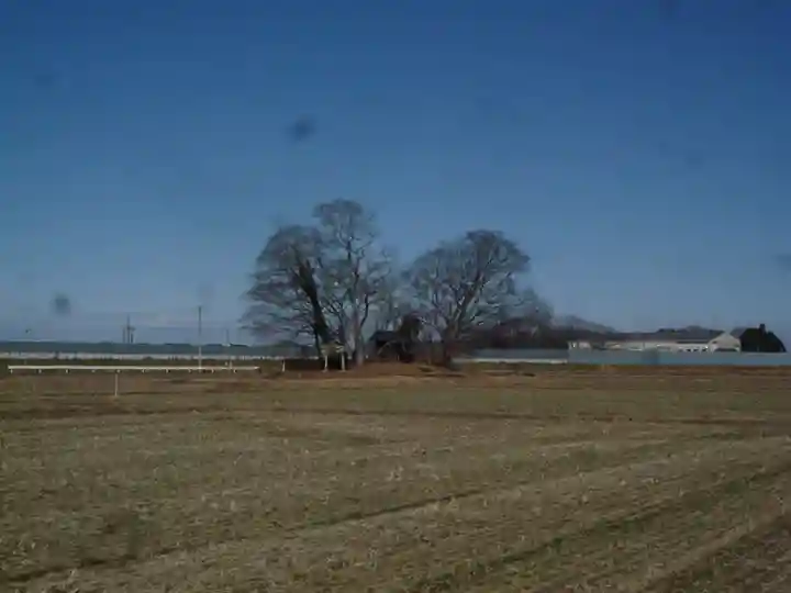 神明神社の周辺
