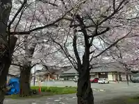 志賀理和氣神社(岩手県)