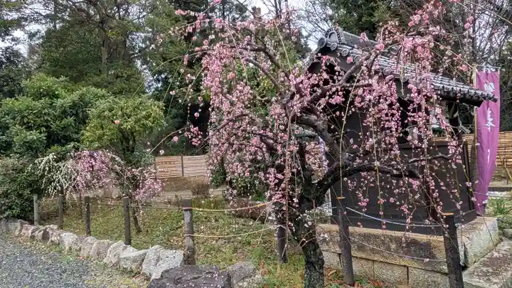 上宮天満宮(大阪府)