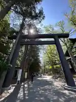 北海道神宮の鳥居