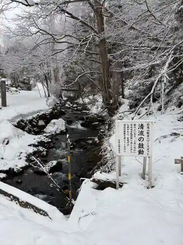 松尾院の御朱印