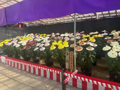 太宰府天満宮の芸術