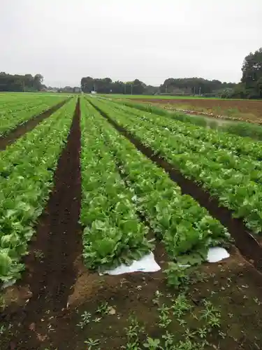 万蔵院(茨城県)