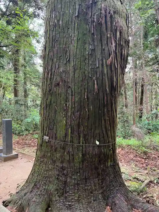 日吉神社(千葉県)