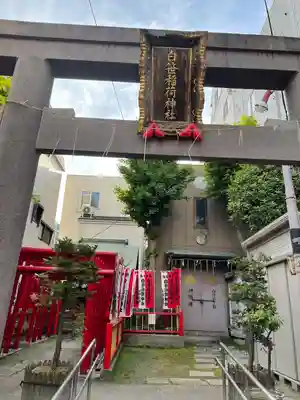 白笹稲荷神社の鳥居