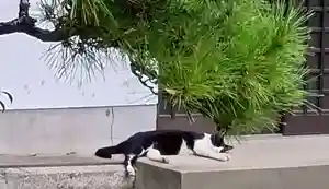 刺田比古神社(和歌山県)(2025年09月25日(木) 15時07分07秒投稿)