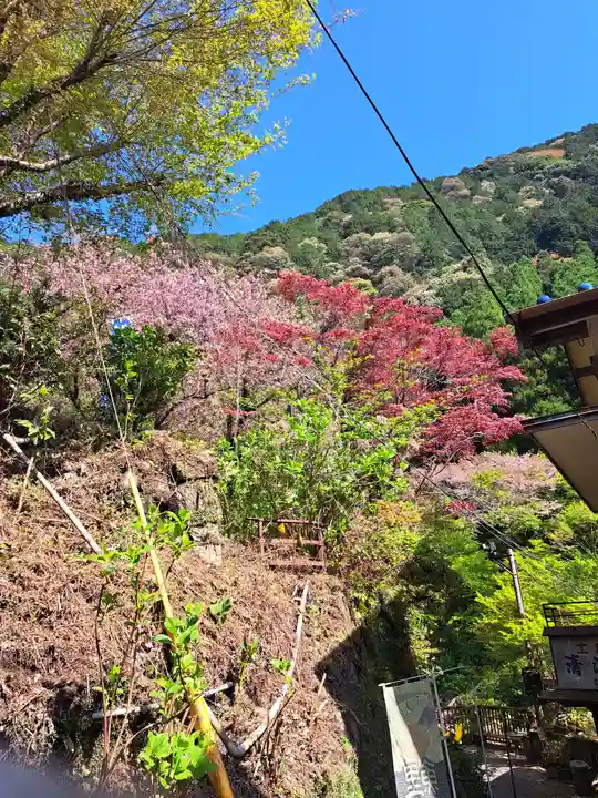 滝の観音(佐賀県)