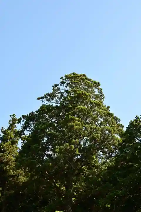 上一宮大粟神社(徳島県)