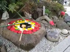 東京羽田 穴守稲荷神社の手水