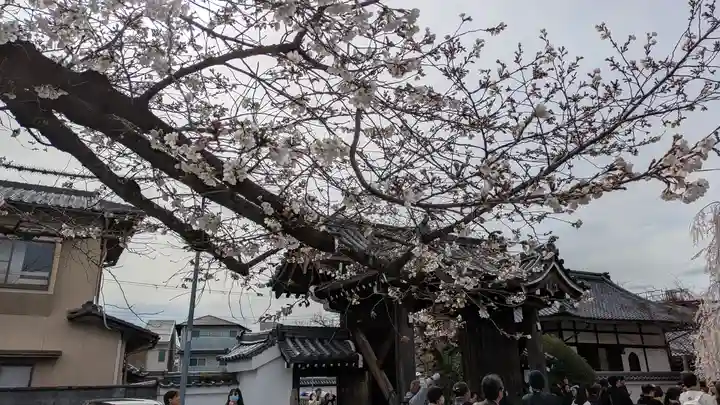 本満寺(本願満足寺)(京都府)
