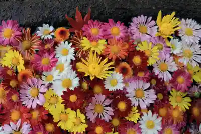 大鏑神社の手水舎