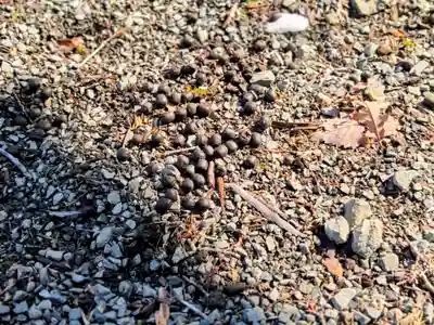 厚岸神社(北海道)