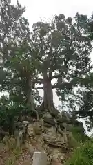 森戸大明神（森戸神社）の庭園