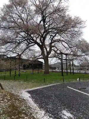 霊泉寺(福井県)