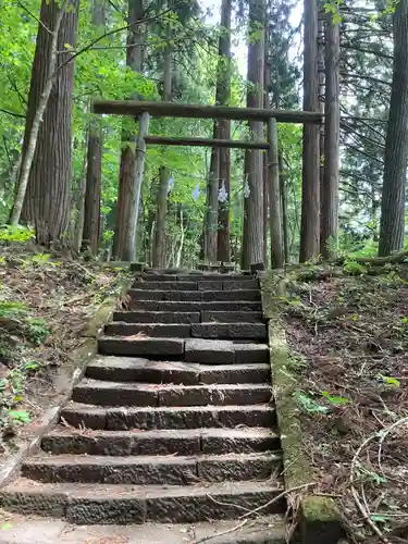 戸隠神社宝光社の鳥居