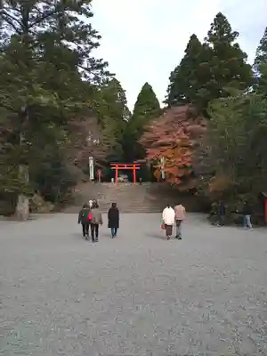 霧島神宮(鹿児島県)