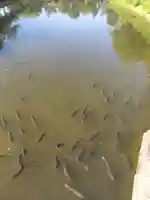 上杉神社(山形県)