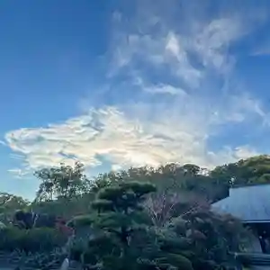 伊勢の国 四天王寺(三重県)(2025年12月04日(木) 13時28分28秒投稿)
