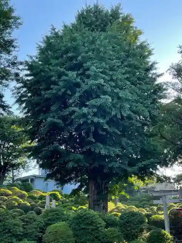 根津神社の自然