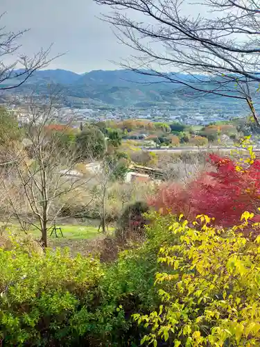 丸高稲荷神社(和歌山県)