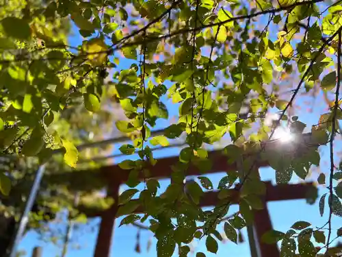 矢彦神社(長野県)