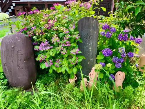 櫻岡大神宮の庭園