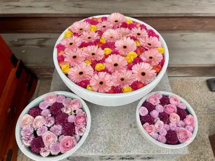 法輪寺の{uncategorized: "未分類", other: "その他", undefined: "問題あり", building: "その他建物", grave: "お墓", sacred_gate: "鳥居", guardian: "狛犬", statue: "像", buddha: "仏像", history: "歴史", nature: "自然", garden: "庭園", animal: "動物", pagoda: "塔", temizu: "手水舎", mountain_gate: "山門・神門", sanctuary: "本殿・本堂", subordinate: "末社・摂社", art: "芸術", scenery: "景色", jizo: "地蔵", ema: "絵馬", goshuin: "御朱印", omikuji: "おみくじ", items: "授与品その他", amulet: "お守り", goshuincho: "御朱印帳", eats: "食事", festival: "お祭り", votive_dance: "神楽", shichigosan: "七五三参", wedding: "結婚式", experience: "体験その他", initially: "初詣", around: "周辺", anti_infection: "感染症対策"}